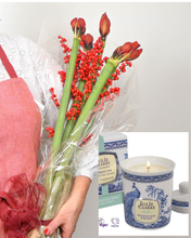 Load image into Gallery viewer, Amaryllis & Ilex Berries & Julie Clarke Candle