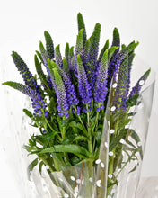 Load image into Gallery viewer, Veronica Posy with a Julie Clarke Diffuser