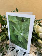 Load image into Gallery viewer, Add a Greeting Card

