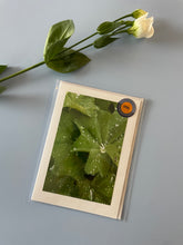 Load image into Gallery viewer, Add a Greeting Card
