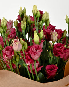 Pink Lisianthus Posy with Lindt Chocolates & Non-Alcoholic Fizz