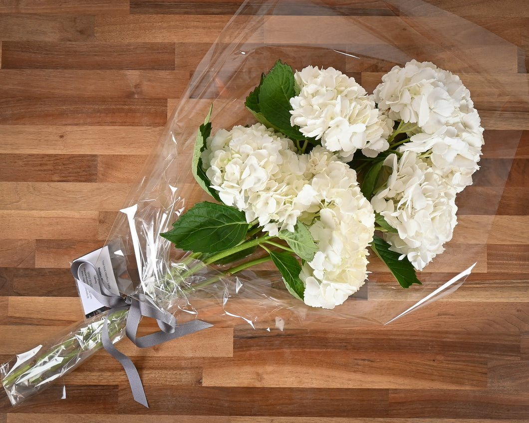Simply Stems - 5 Hydrangea in a flat bouquet