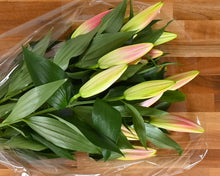Load image into Gallery viewer, Simply Stems - 5 Long Stemmed Pink Lilies
