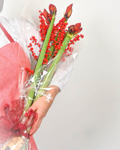 Red Velvet Amaryllis & Winter Ilex Berries & Julie Clarke Diffuser